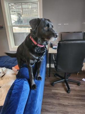 visit Tricuit's profile