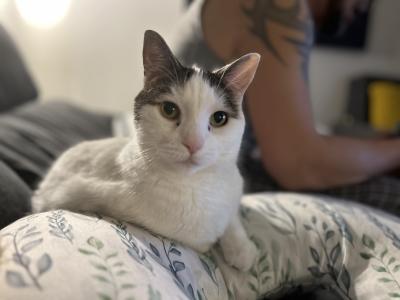 visit L&eacute;o's profile