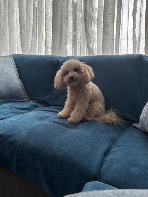 visit Bonnie's profile