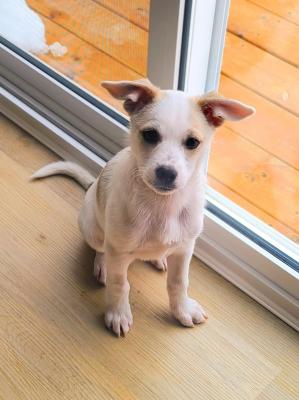 visit Beauregard's profile