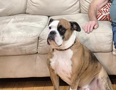 visit Sherman's profile