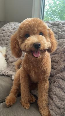 visit Oliver's profile