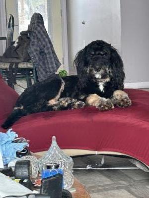 visit Sarge's profile