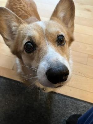 visit Autumn 's profile