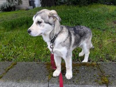 visit Opal's profile