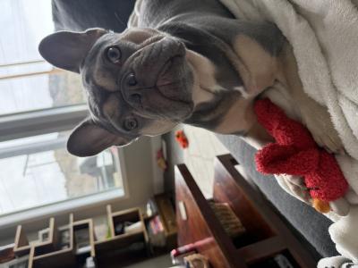 visit Poppy 's profile