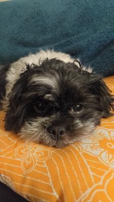 visit Luna's profile