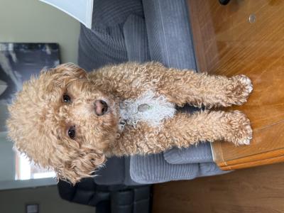 visit Sammy's profile