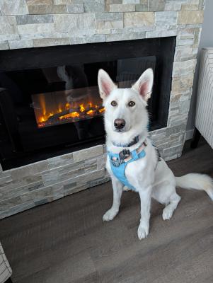 visit Lulu's profile