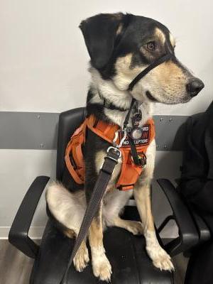 visit Hades's profile