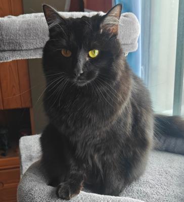 visit Freyja's profile