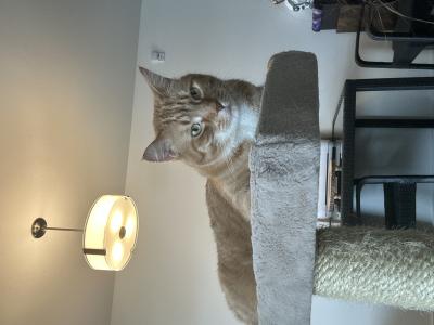 visit Freddy's profile