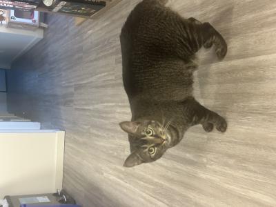 visit Cindy's profile