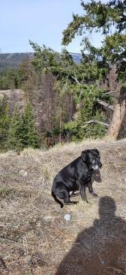 visit Kelsey's profile