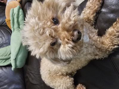 visit Lala 's profile