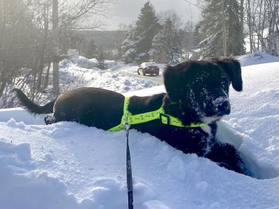 visit Willy's profile