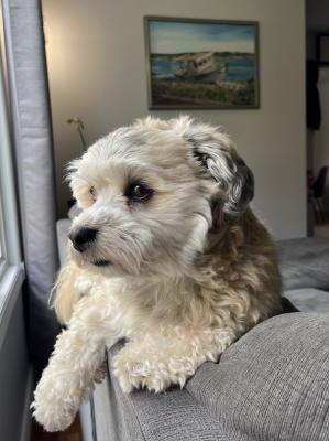 visit Bear's profile