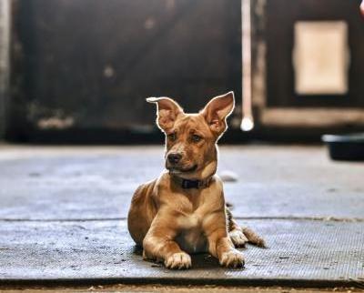 visit Indy's profile