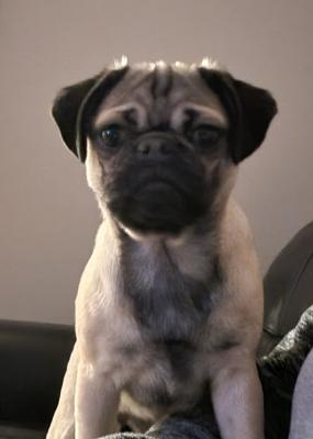 visit Sadie 's profile