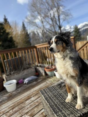 visit Chico's profile