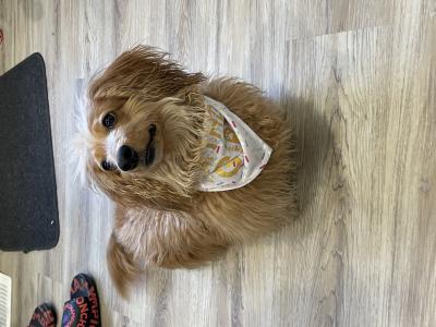 visit Mella 's profile