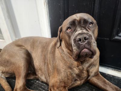 visit Chili's profile