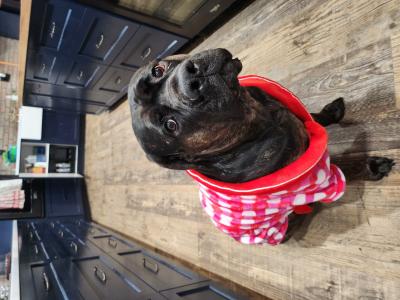 visit Pepper's profile