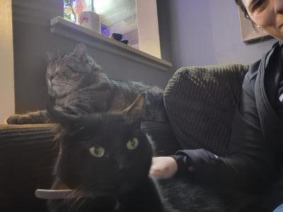 visit 4505588129's profile