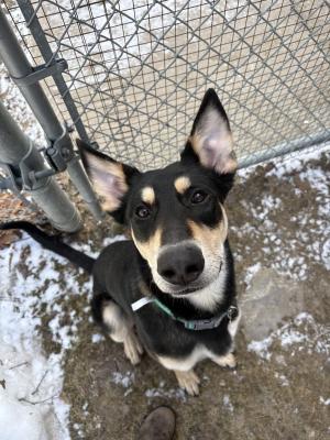 visit Munchkin's profile