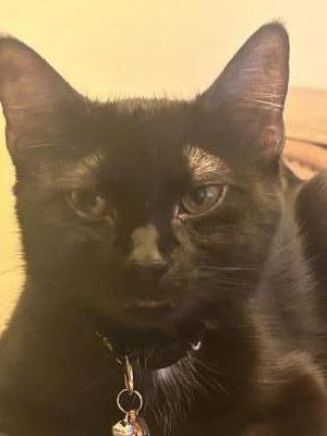 visit Theodora's profile