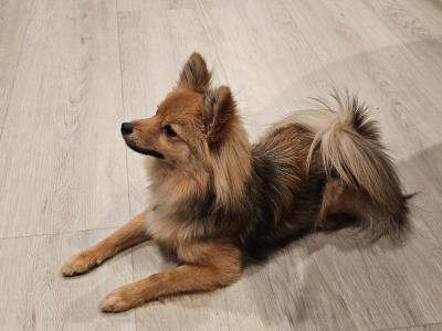 visit Ruby's profile