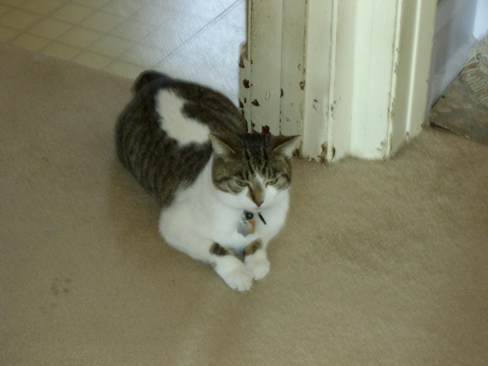 visit Bob jr.'s profile