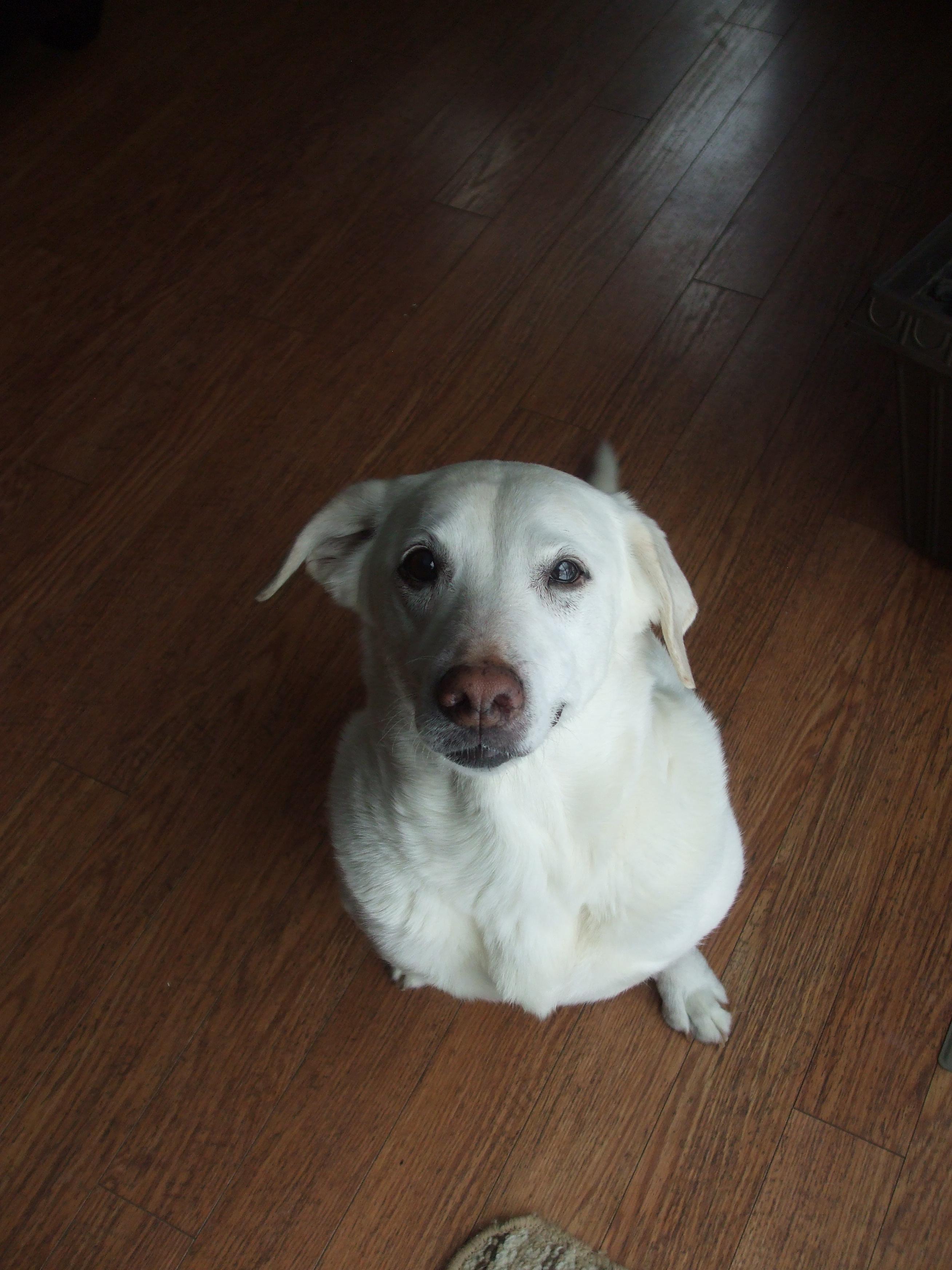 visit Stella Hogan's profile