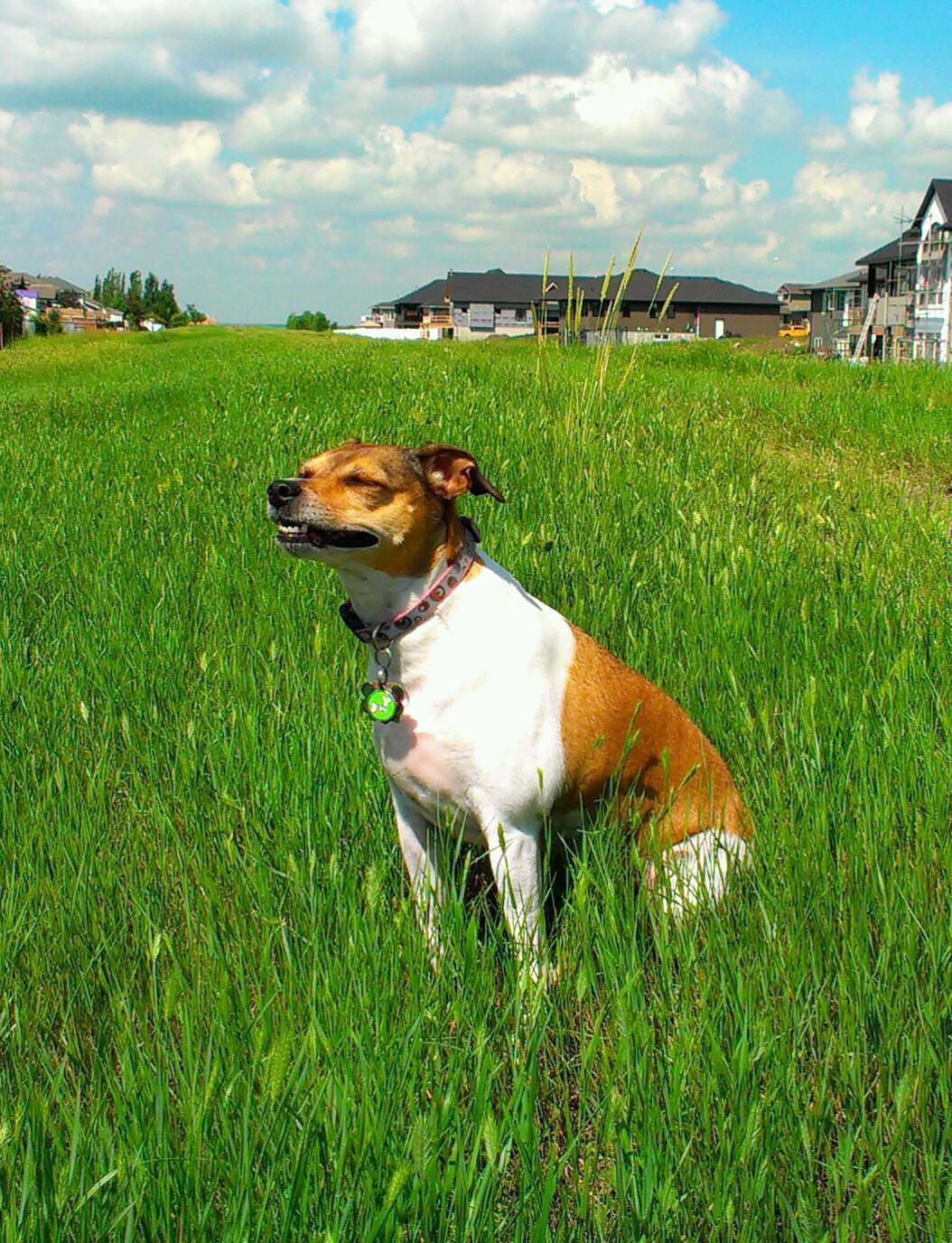 visit Bijou's profile