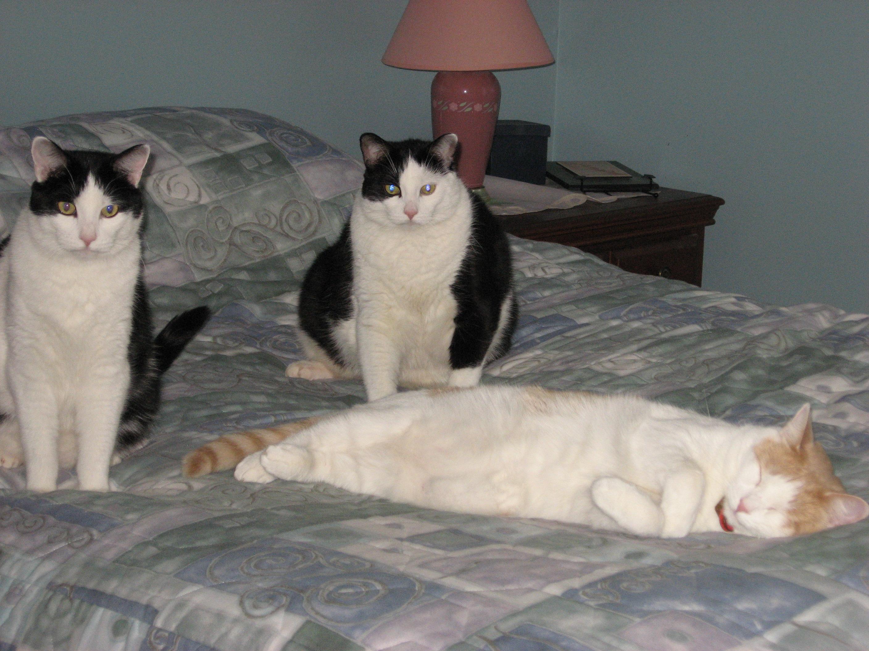 visit PABLO's profile