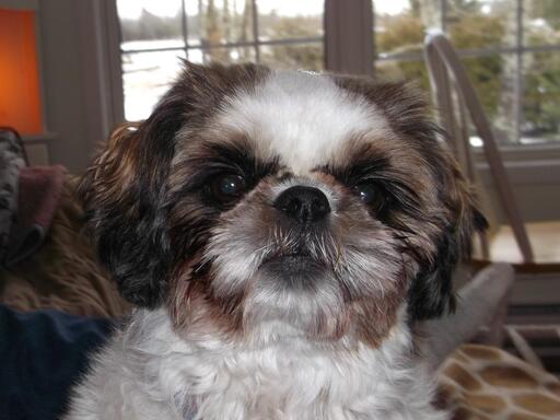 visit Samantha (Sam)'s profile