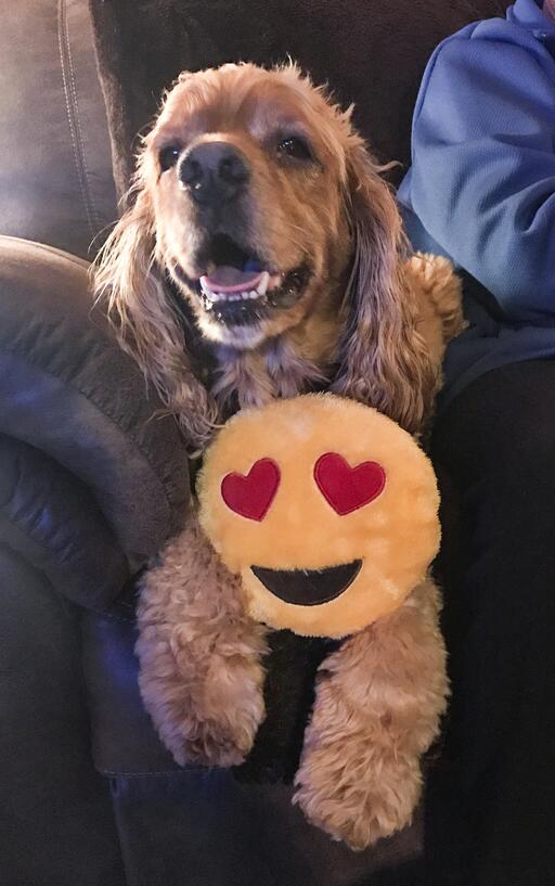 visit D.O.G.'s profile