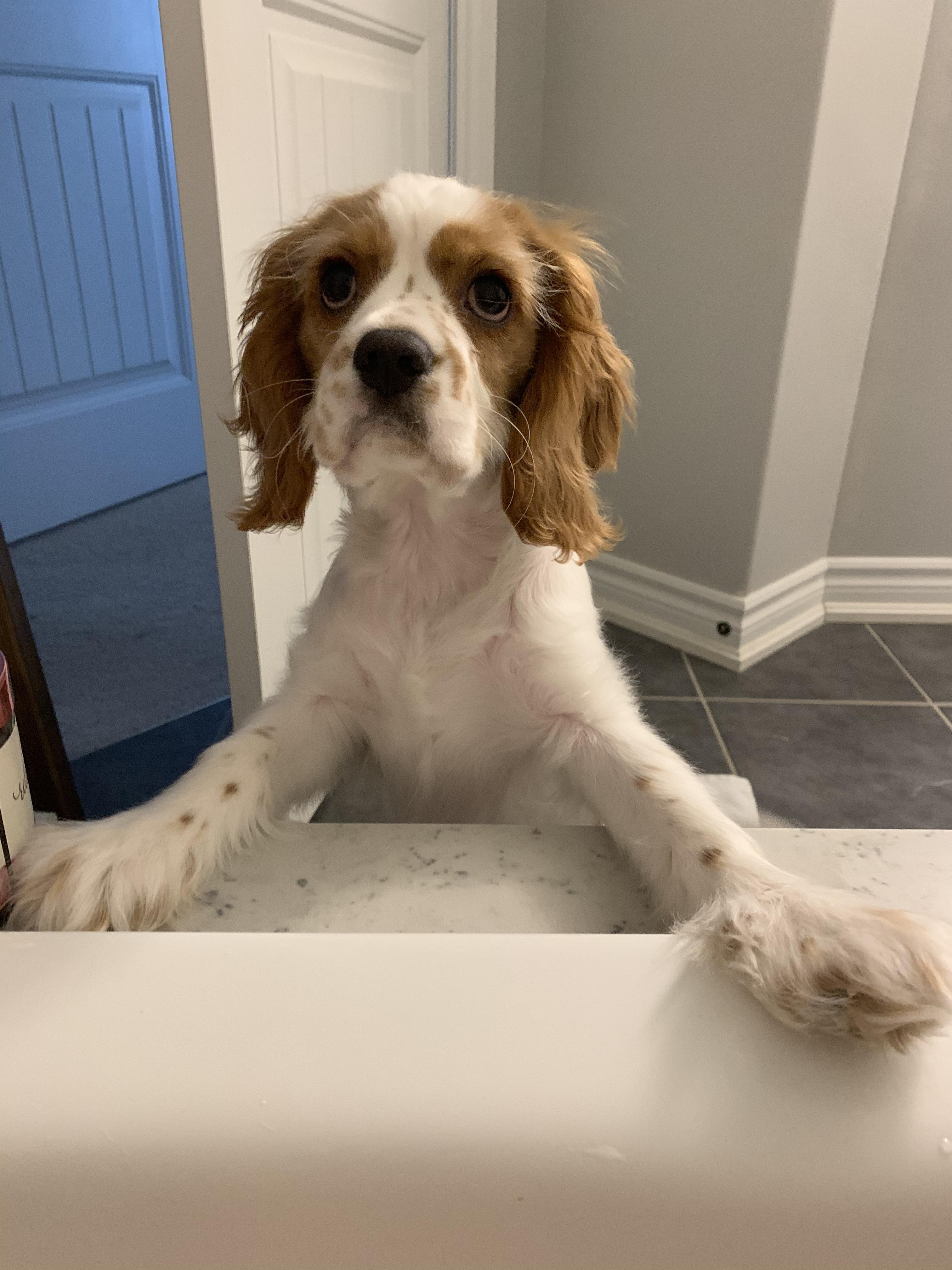 visit Marty 's profile