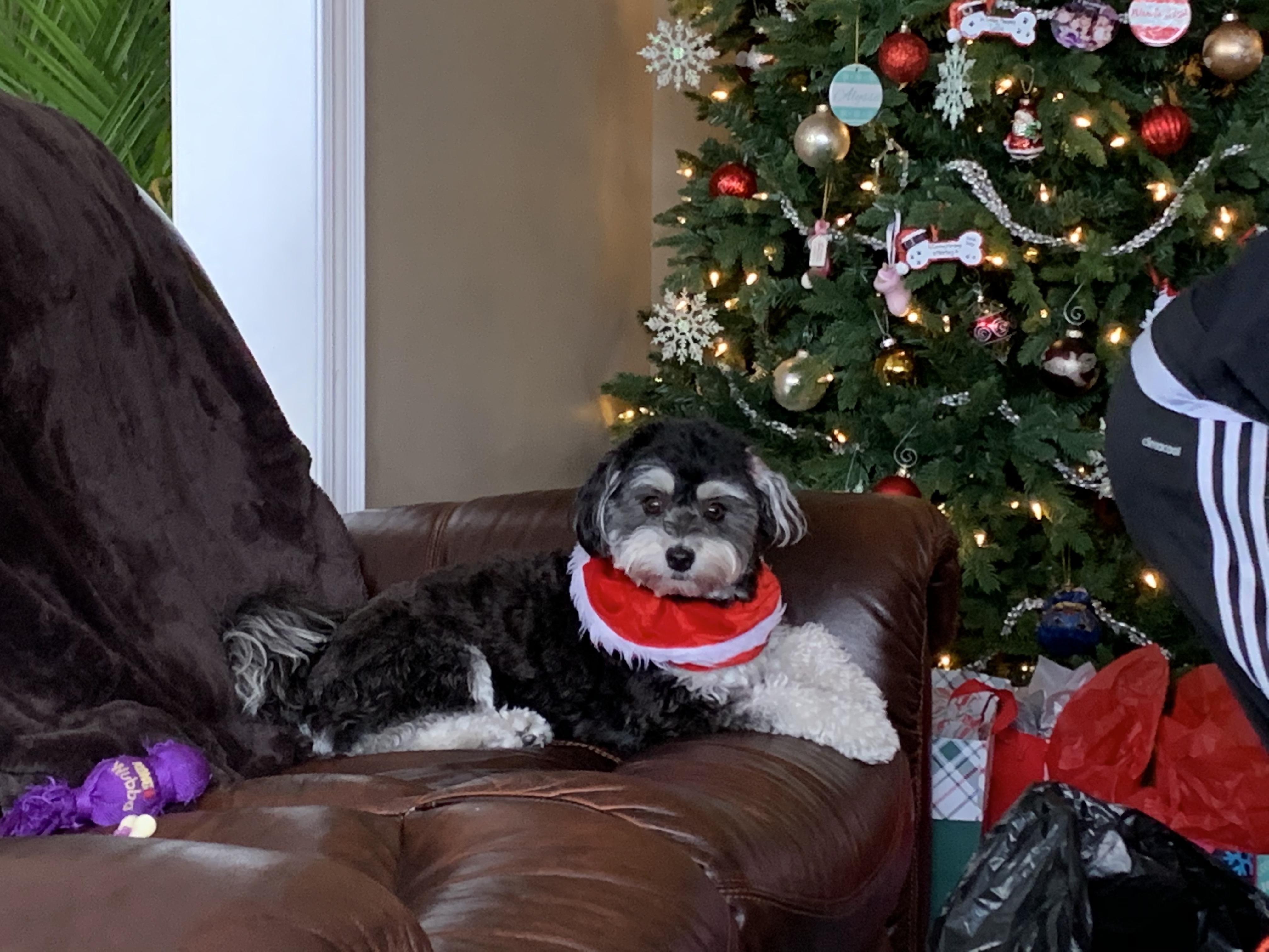 visit Rosie Vallis's profile