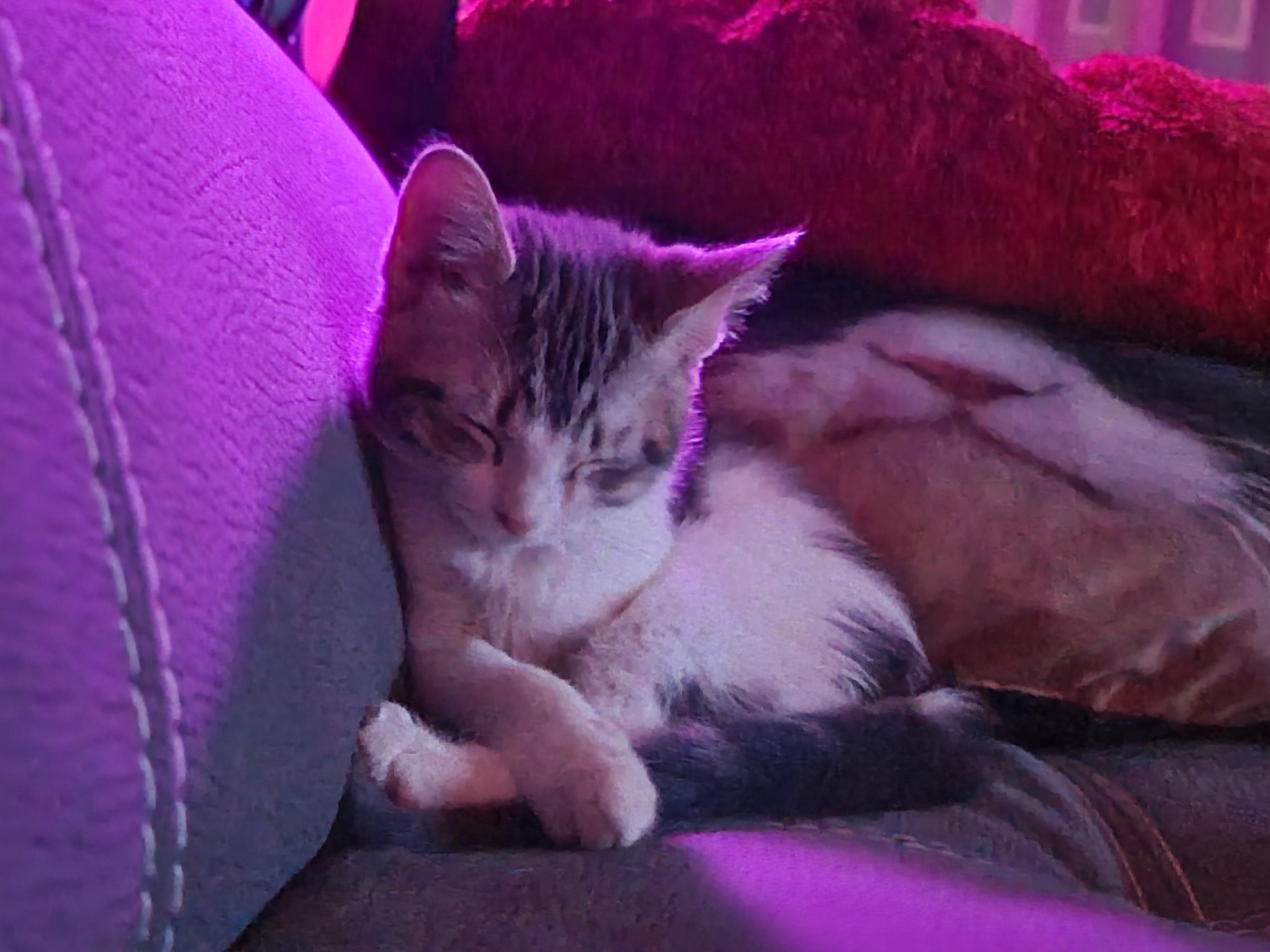 visit Holly Quinn's profile