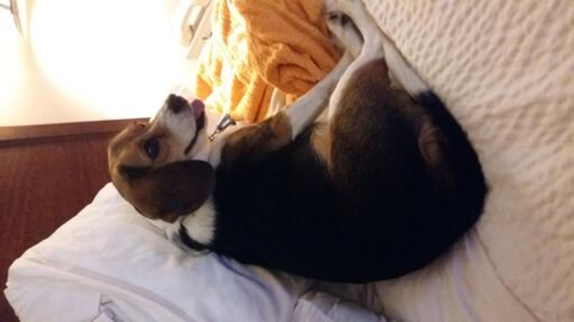 visit Annie's profile