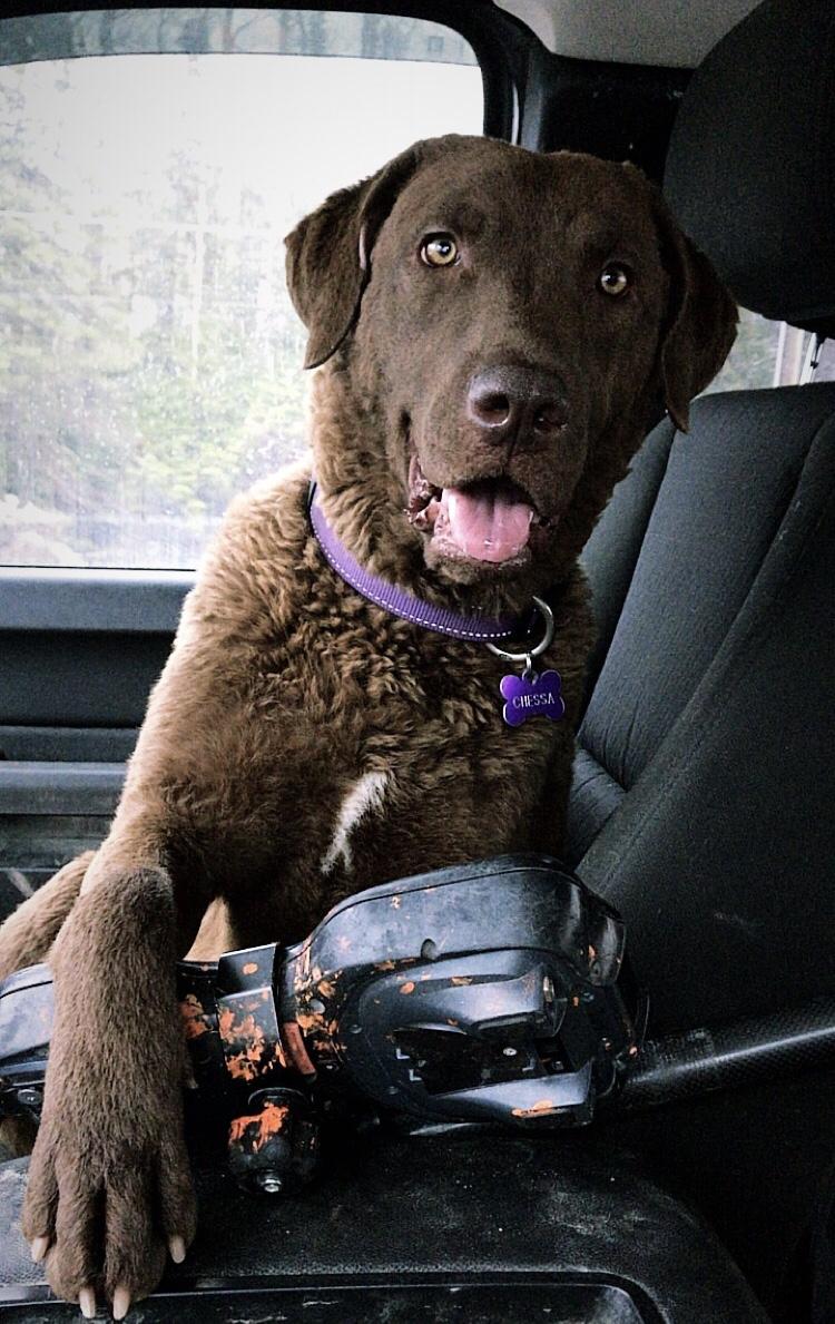 visit Chessa's profile