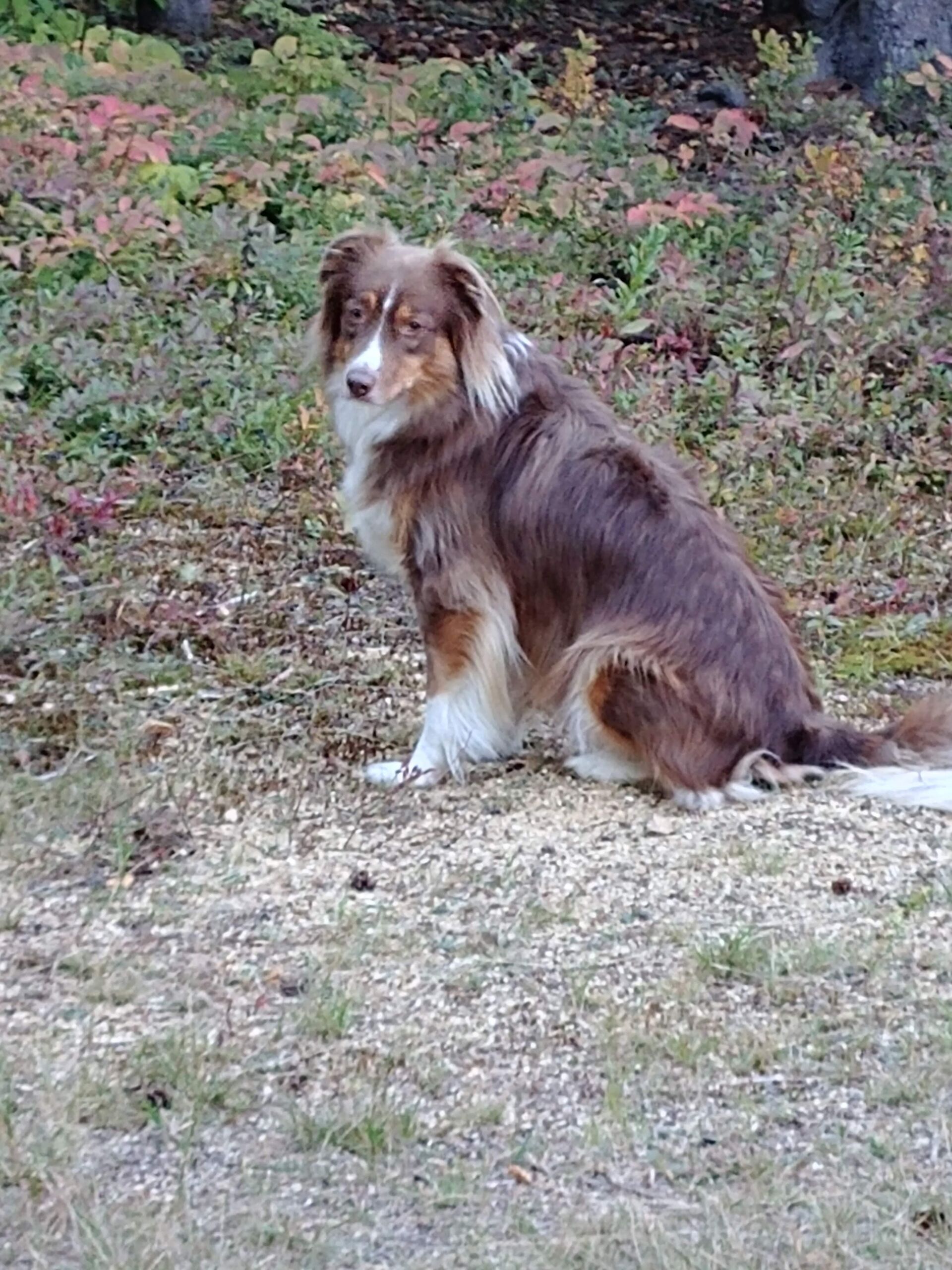 visit Romy's profile