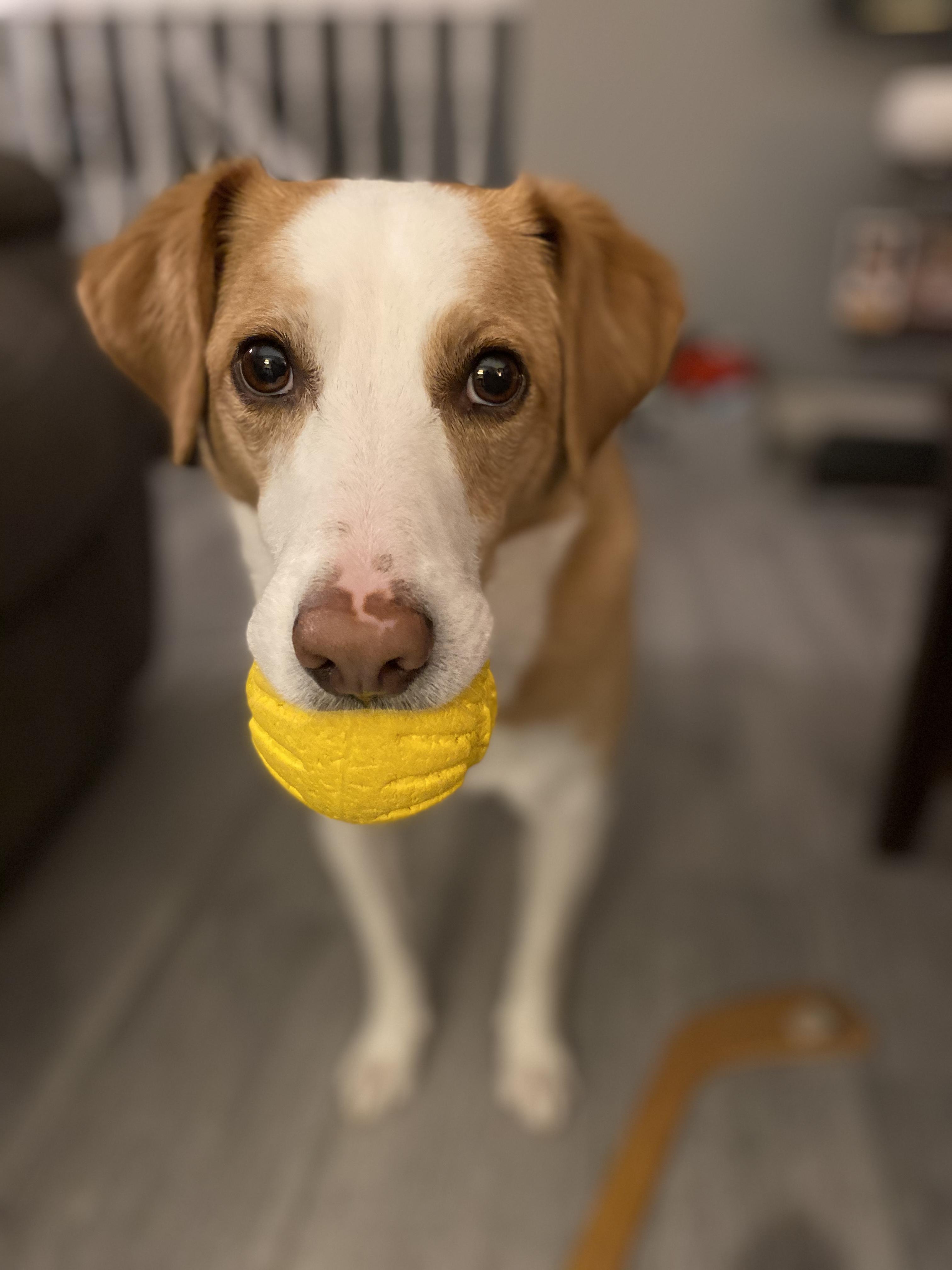 visit Ellie's profile