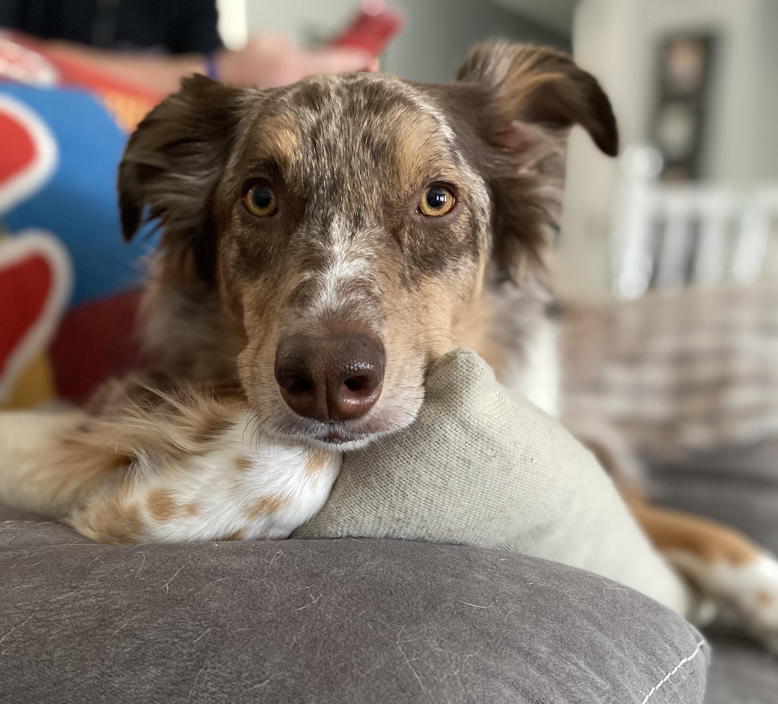 visit Molly's profile